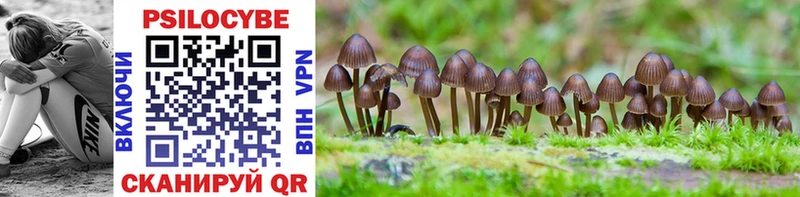 Галлюциногенные грибы GOLDEN TEACHER  закладки  Жигулёвск 