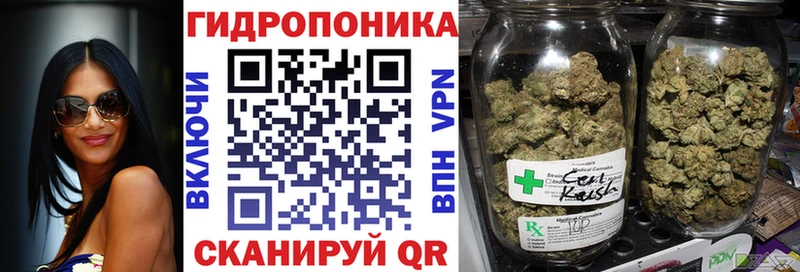 МЕГА ТОР  купить  цена  Жигулёвск  Бошки марихуана конопля 